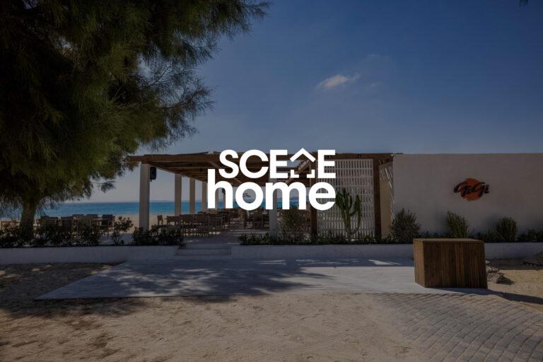 How Spaces Architects Embraced an Abandoned Tree in Gigi’s Design